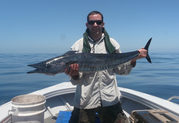 Fish Facts: Wahoo research